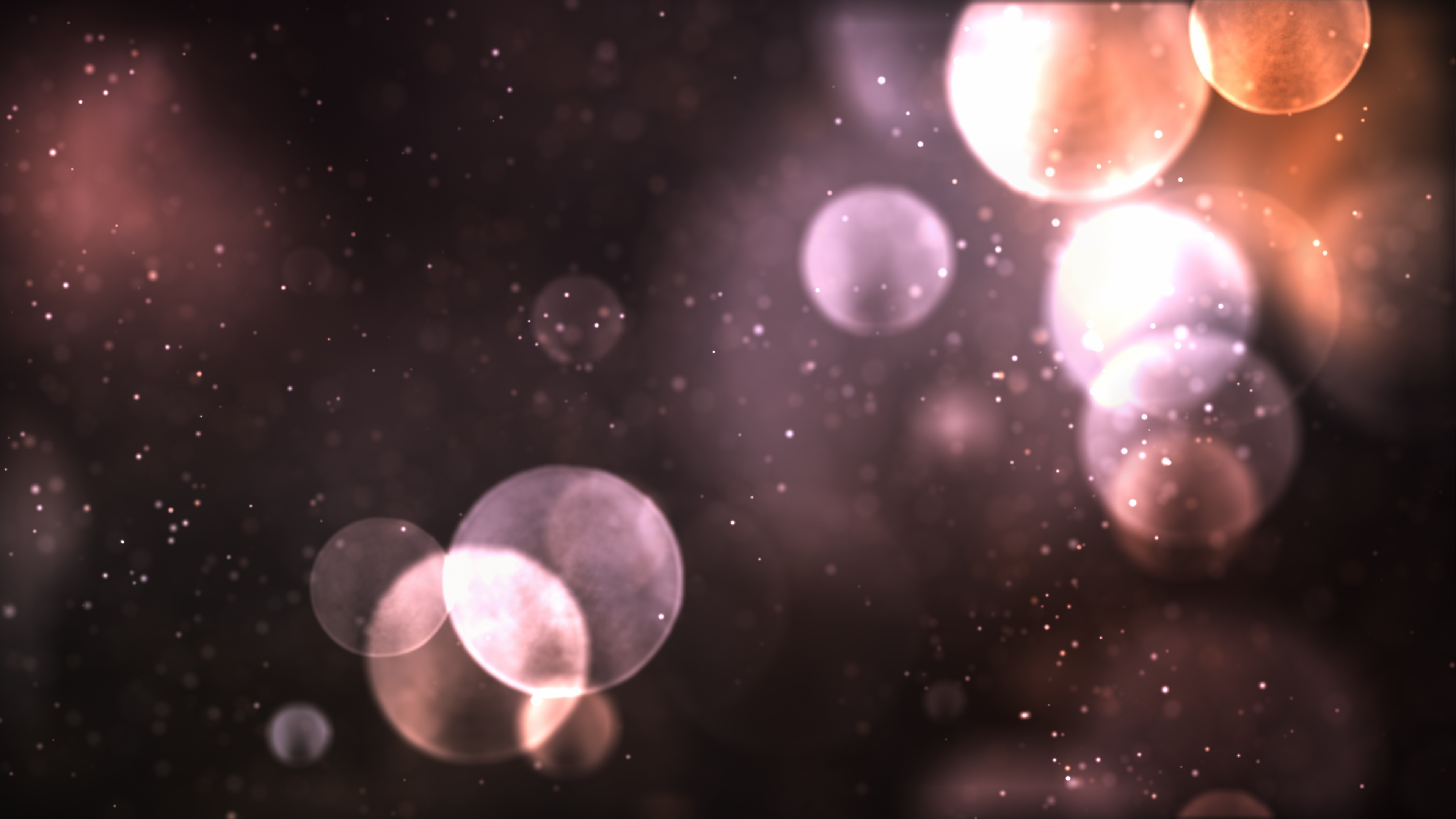 Bokeh Photography